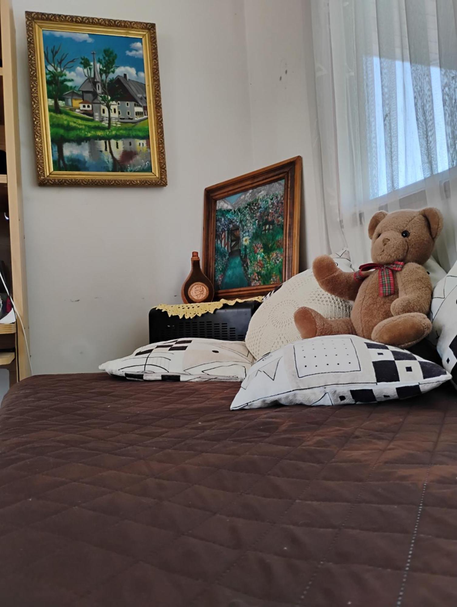 Vicuña Hostal Donde Rita المظهر الخارجي الصورة
