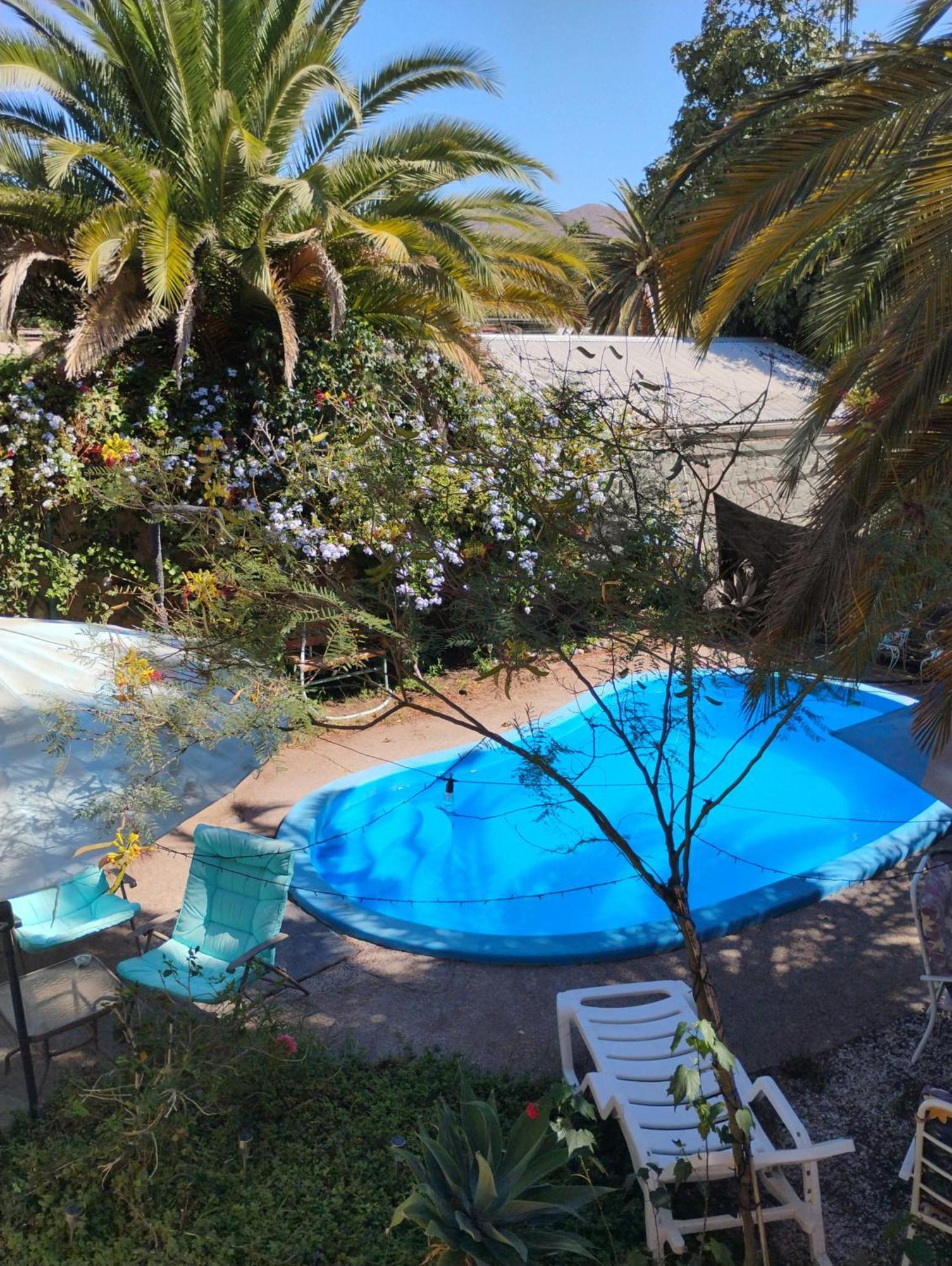 Vicuña Hostal Donde Rita المظهر الخارجي الصورة