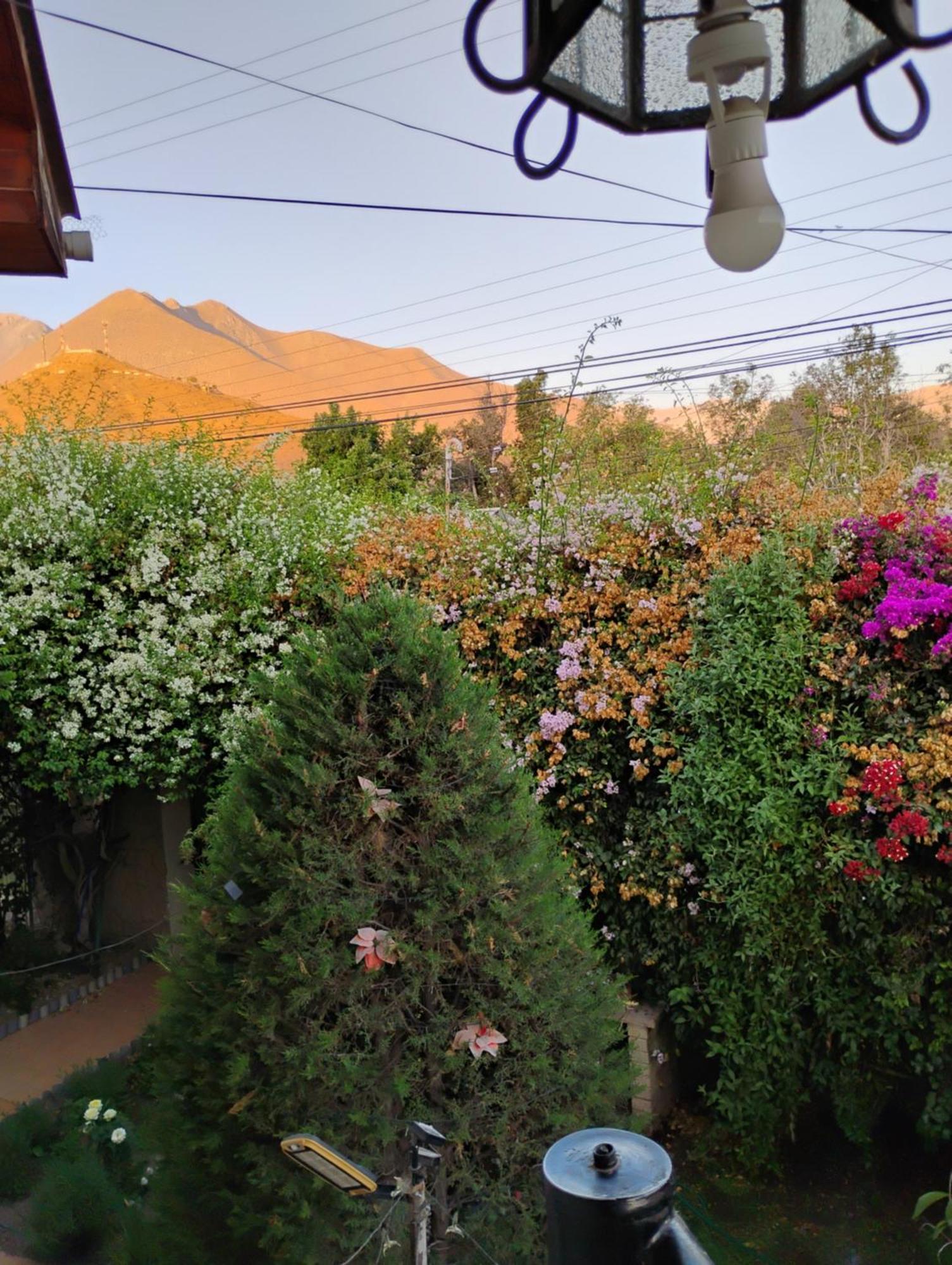 Vicuña Hostal Donde Rita المظهر الخارجي الصورة